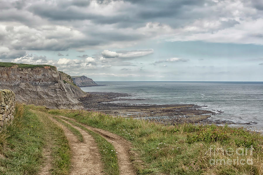 Coastal path in North Yorkshire Photograph by Patricia Hofmeester