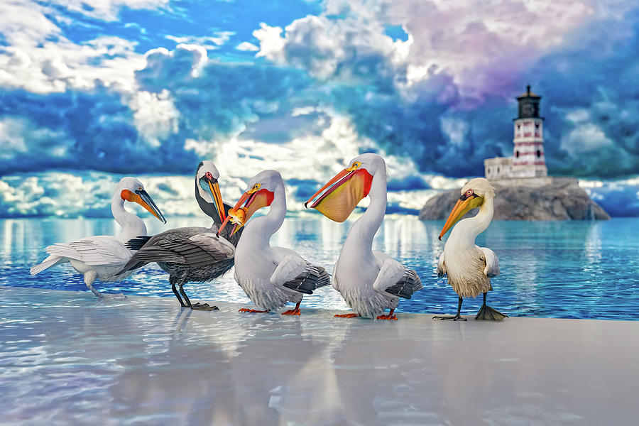 Coastal Pelicans Digital Art