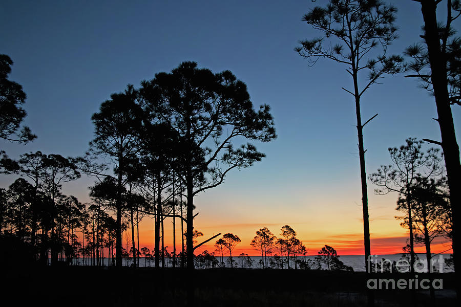 Coastal Retreat, First Light by Banyan Ranch Studios Coastal Retreat, First Light by Banyan Ranch Studios