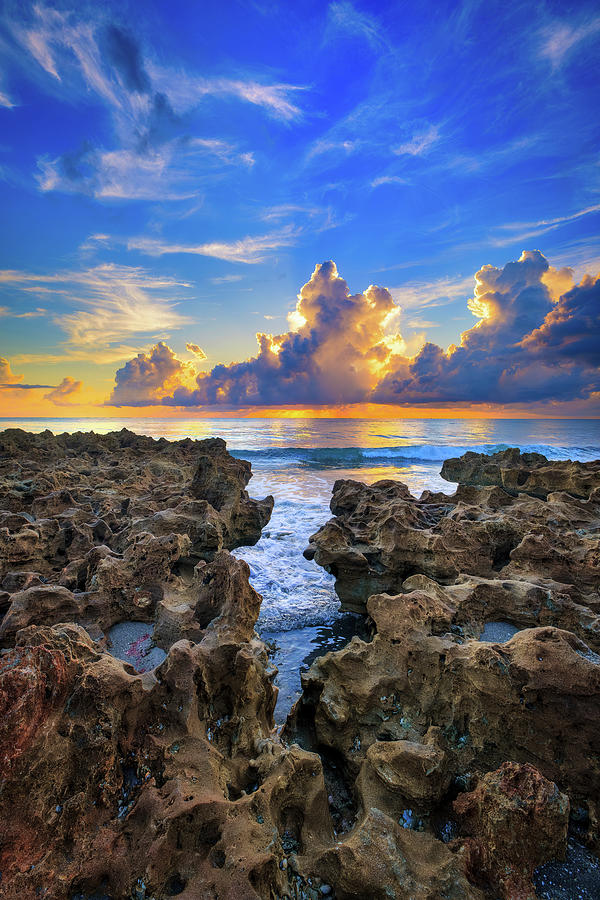 Coastal Serenade Daybreak at Coral Cove Park Tequesta Florida Photograph by Kim Seng