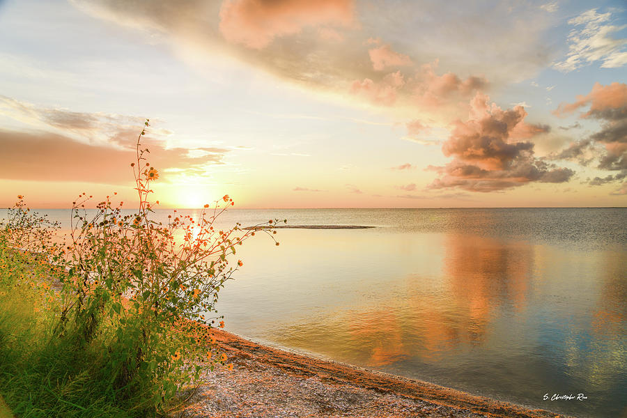 Coastal Sunset Photograph by Christopher Rice