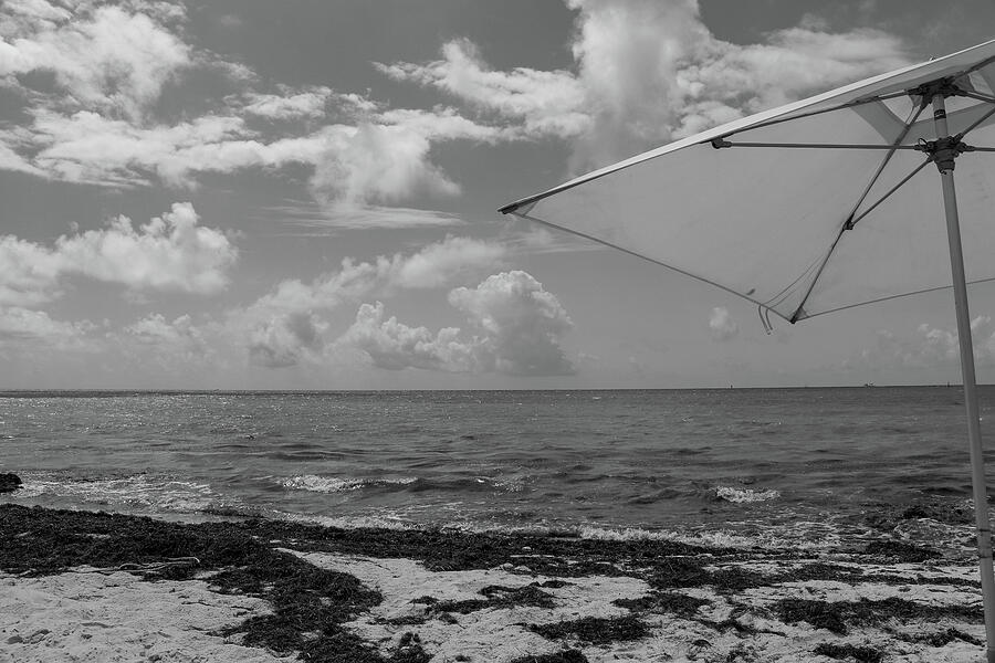 Coastal Tranquility - Seaweed-Adorned Florida Keys Beach with Sun Photograph by Brigitte Blanchette Thompson Coastal Tranquility - Seaweed-Adorned Florida Keys Beach with Sun Photograph by Brigitte Blanchette Thompson
