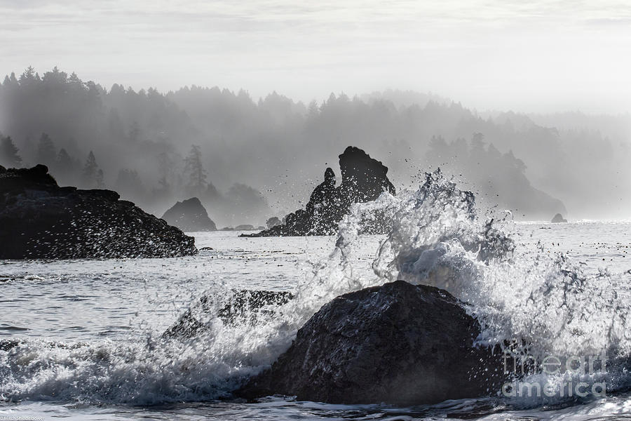 Coastal Waves Photograph