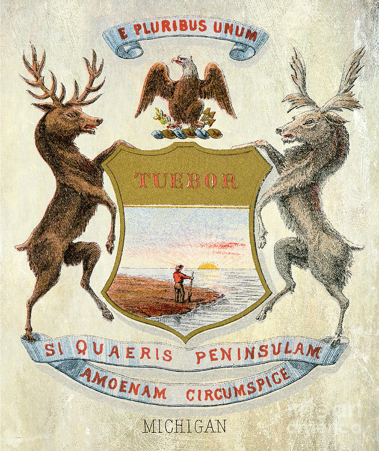 Coat of Arms 1876 Photograph by Jon Neidert