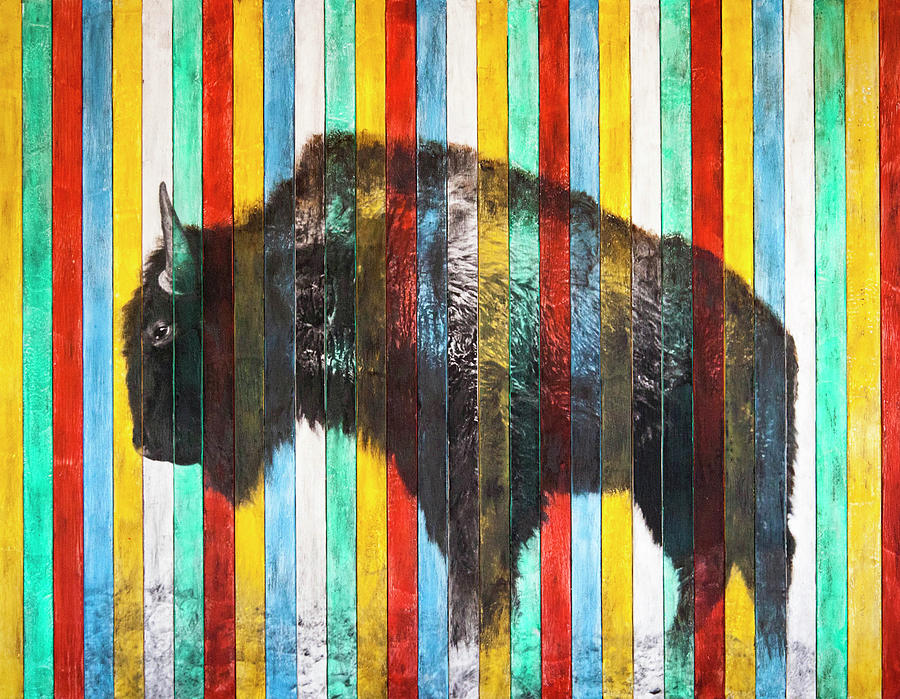 Bison Mixed Media - Coat Of Many Colors by Angel Wynn