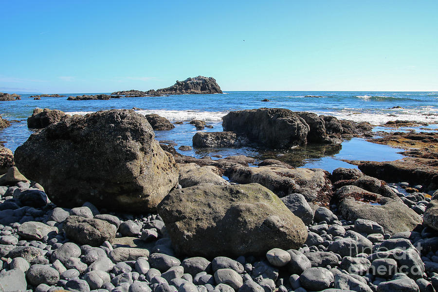 Cobble Beach Photograph by Suzanne Luft - Fine Art America