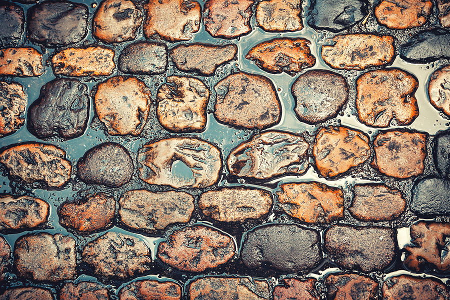 Cobblestone Photograph by Vadmary