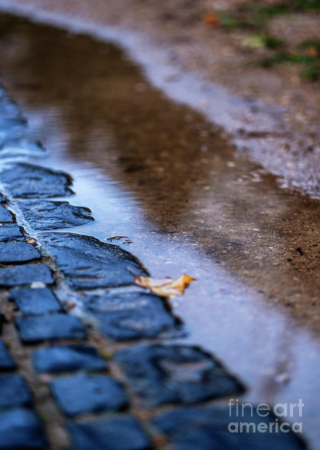 Cobblestones and a puddle Photograph by Mendelex Photography