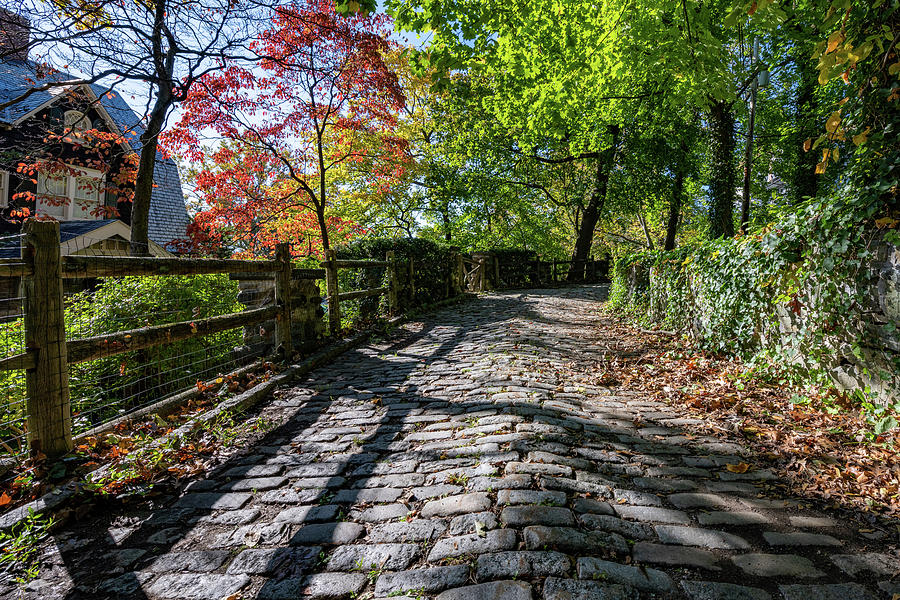 Cobblestones in Autumn Photograph by Kevin Suttlehan