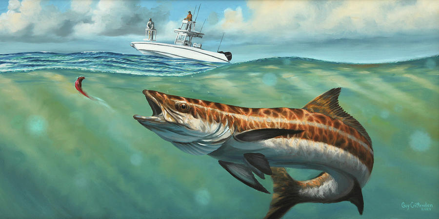 Cobia On The Fly Painting