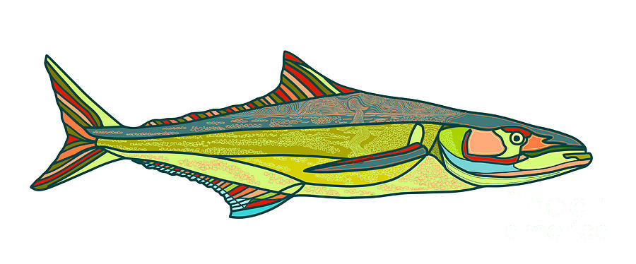 Cobia Surfing Fish Digital Art by Robert Yaeger