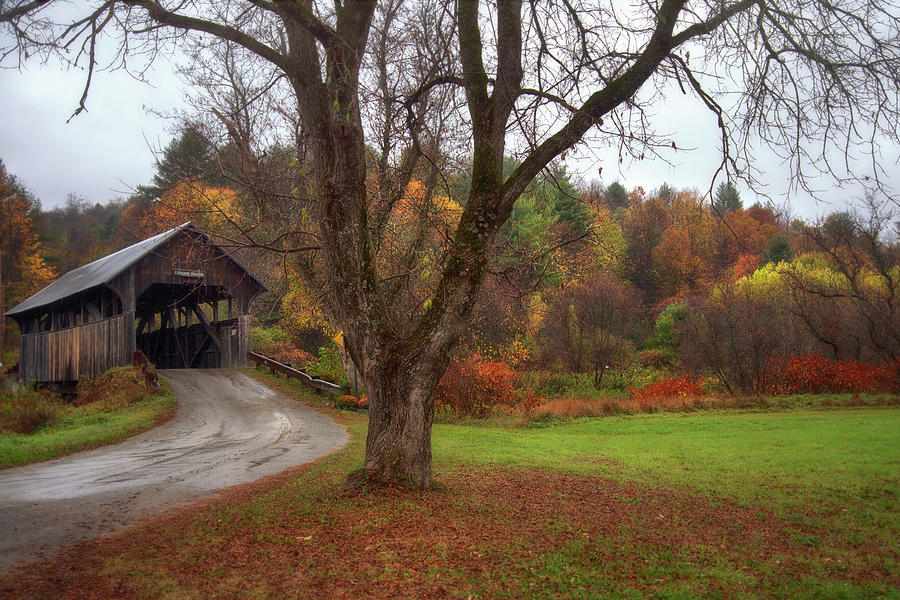 Coburn Covered Bridge in Autumn Photograph by Joann Vitali