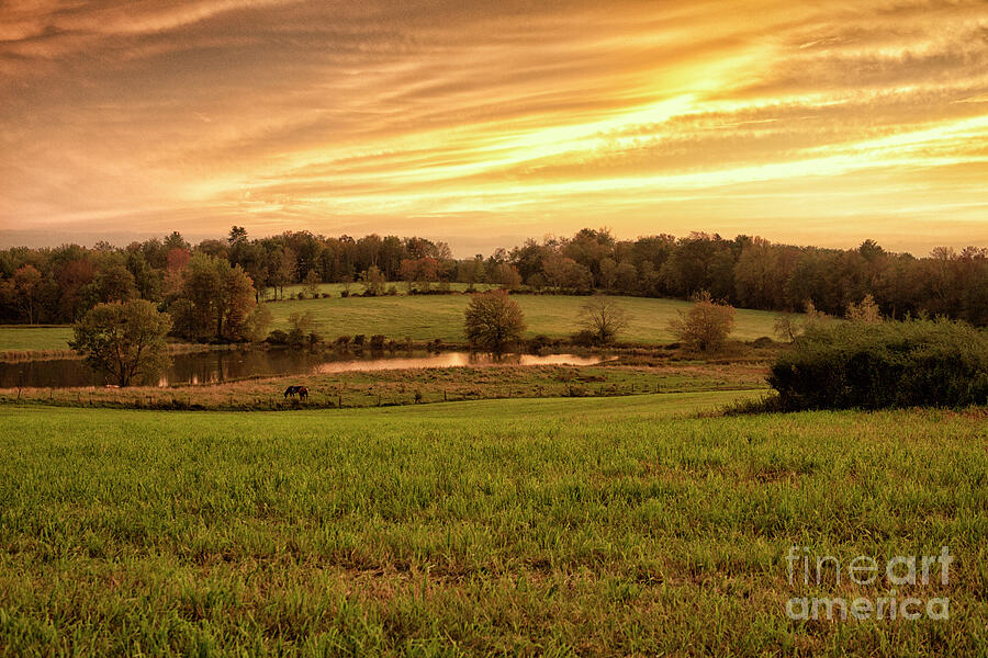 Cochecton New York Photograph by Renata Natale - Fine Art America