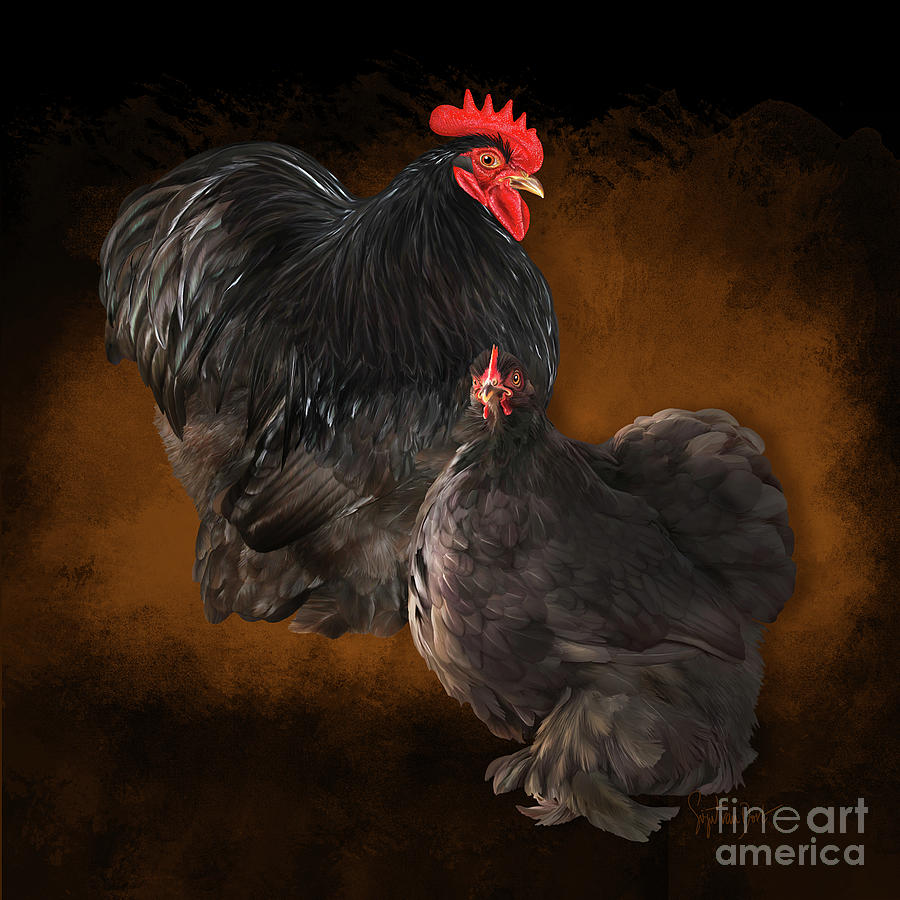 Cochin Digital Art - Cochin bantams chocolate by Sigrid Van Dort Cochin Digital Art - Cochin bantams chocolate by Sigrid Van Dort