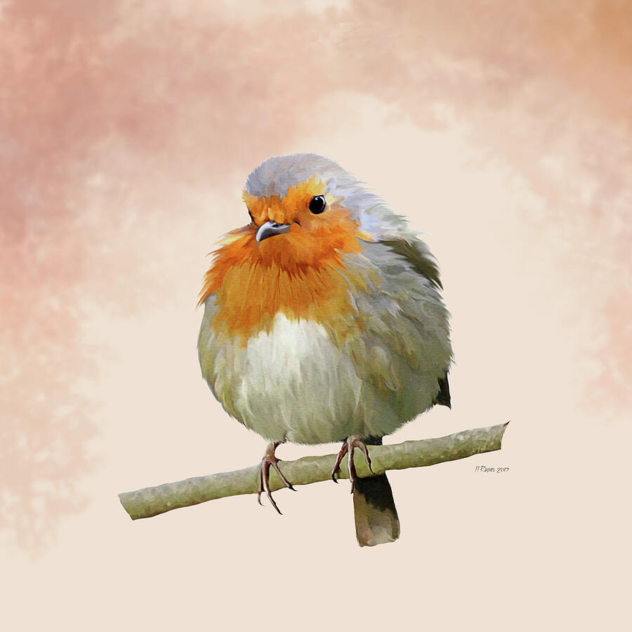 Cock Robin Digital Art by Bamalam Art Cock Robin Digital Art by Bamalam Art