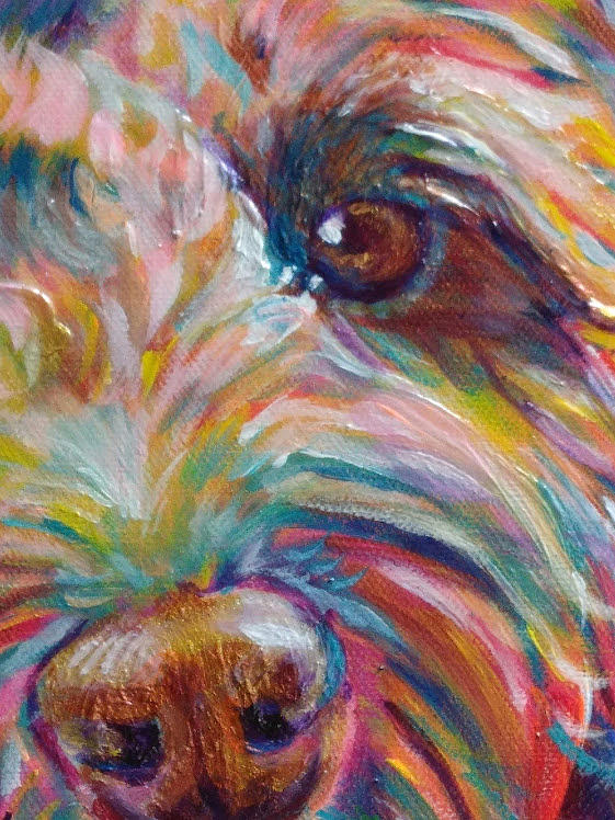 Cockapoo Dog Eye  Painting by Karin McCombe Jones