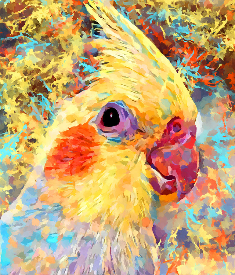 Cockatiel 4 Painting by Chris Butler