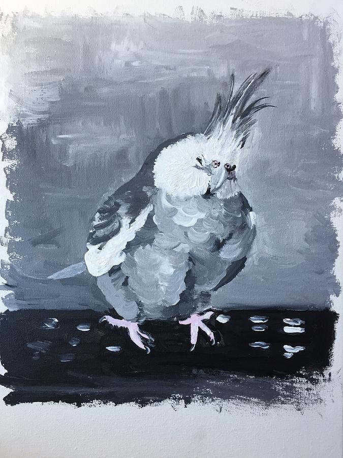 cockatiel paintings