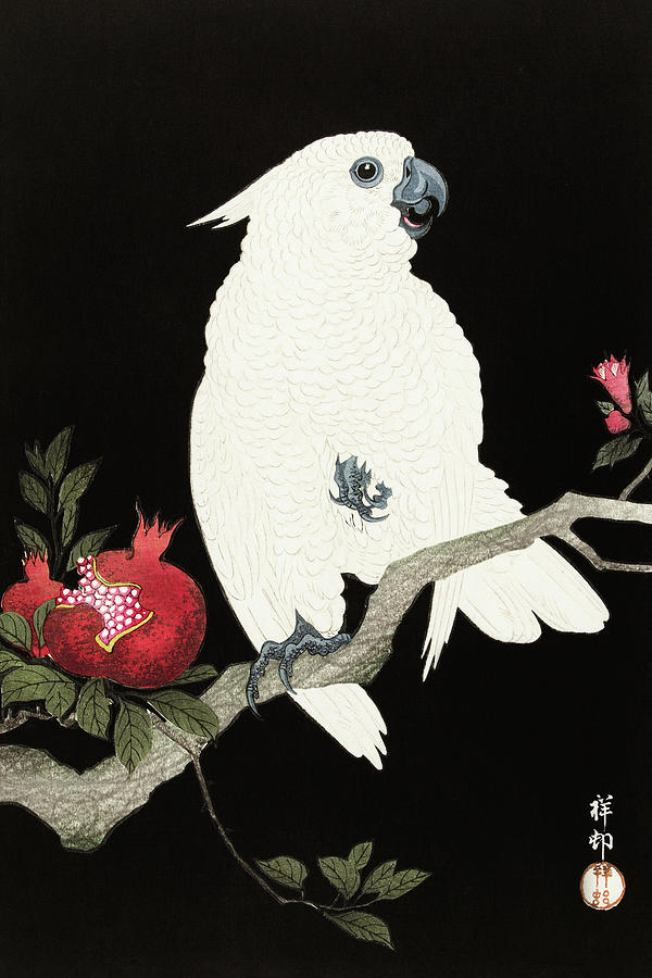 Ohara Koson Painting - Cockatoo and pomegranate by Ohara Koson