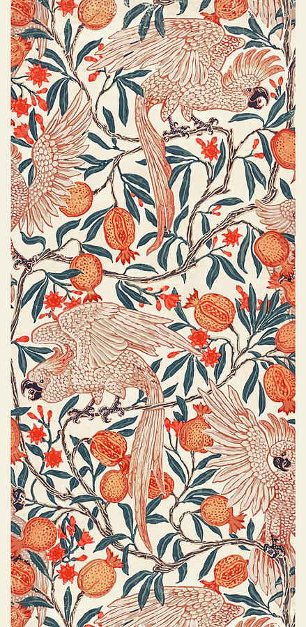 Walter Crane Drawing - Cockatoo and Pomegranate by Walter Crane