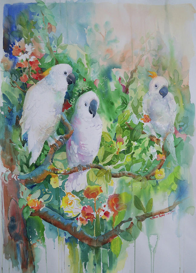 Cockatoo Chatter watercolor Painting by Sue Kemp