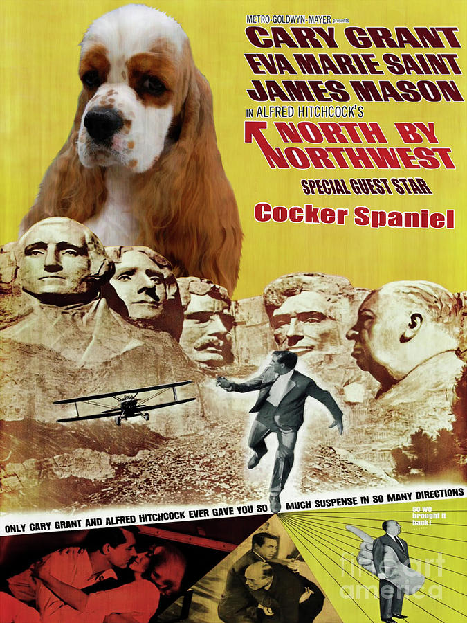 Cocker Spaniel North By Northwest Painting