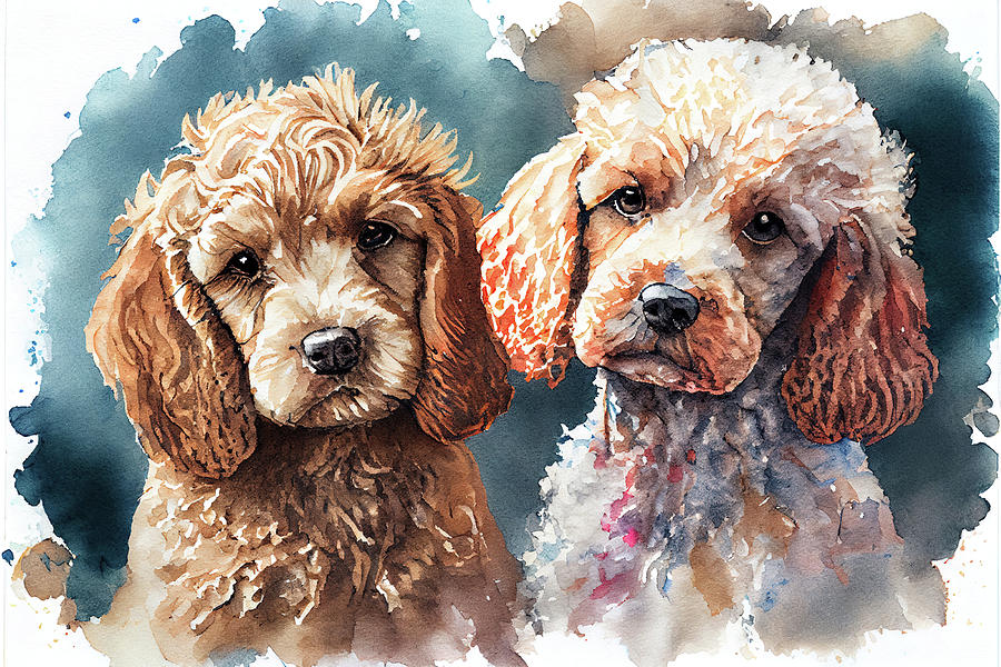 Cockerpoodles 4 Digital Art by Peter Cubbin - Fine Art America