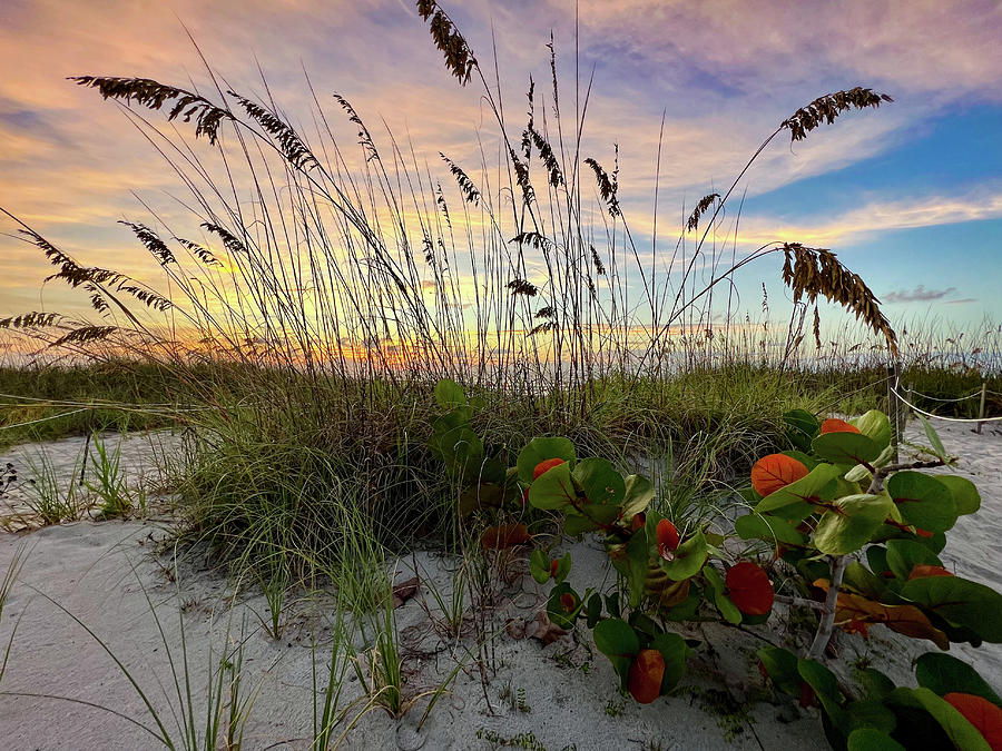 Cocoa Beach Sunrise Photograph by Nikki Brubaker | Pixels