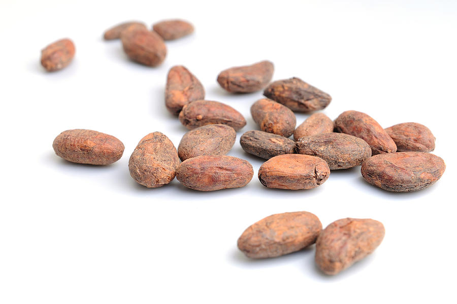 Cocoa beans on white background Photograph by Gizmo