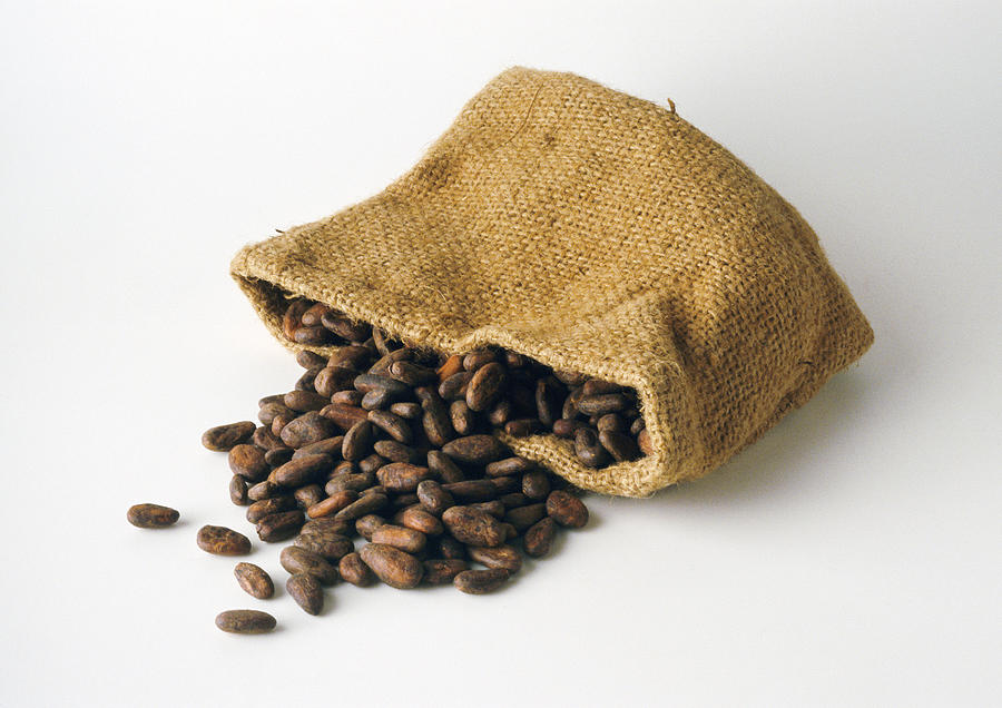 Cocoa beans spilling out of bag Photograph by Isabelle Rozenbaum and Frederic Cirou Cocoa beans spilling out of bag Photograph by Isabelle Rozenbaum and Frederic Cirou