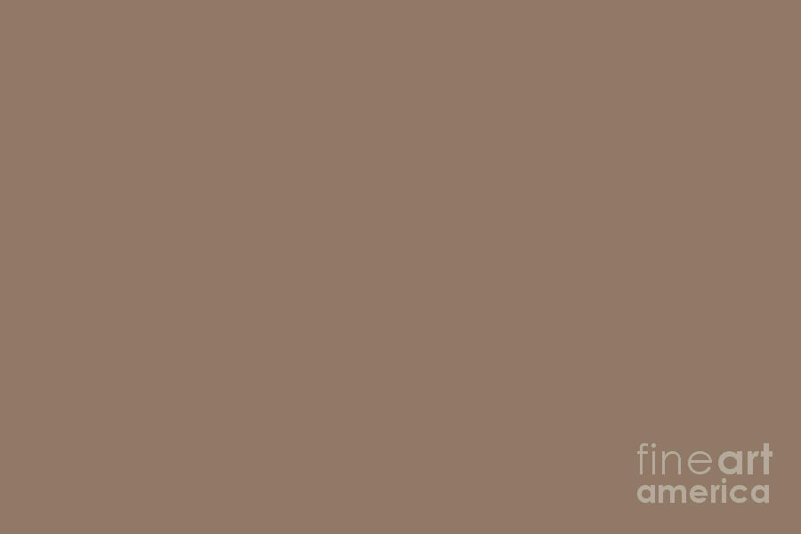 Cocoa Powder Mid Tone Neutral Brown Solid Color Pairs To Sherwin Williams Mocha SW 6067 Digital Art by PIPA Fine Art - Simply Solid