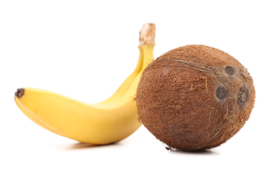 Coconut and Banana. Photograph by Indigolotos