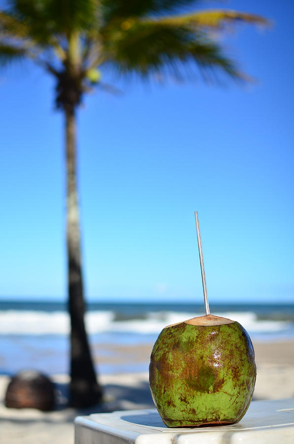 Coconut at the beach in Bahia Photograph by Carlos Alkmin