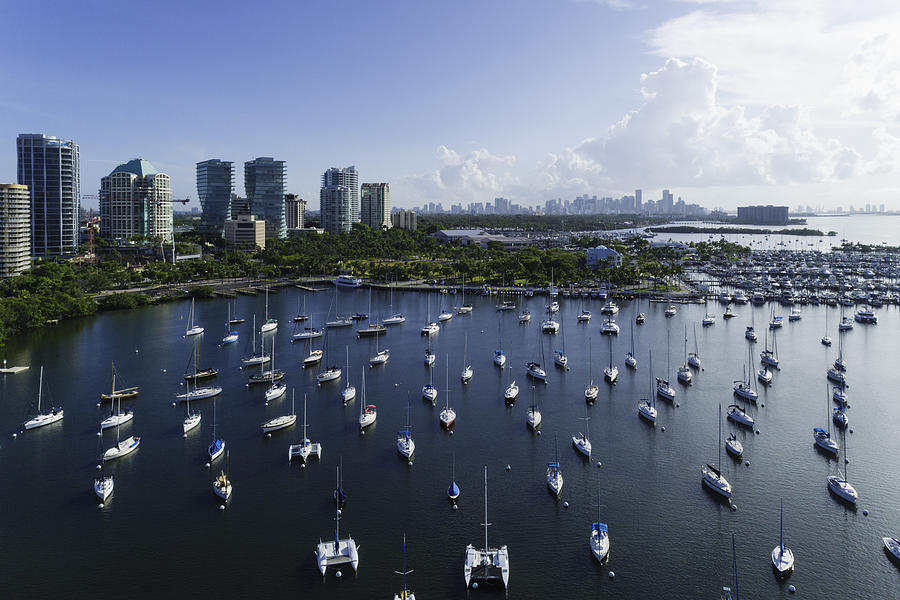 Coconut Grove Bay Photograph by Torresigner
