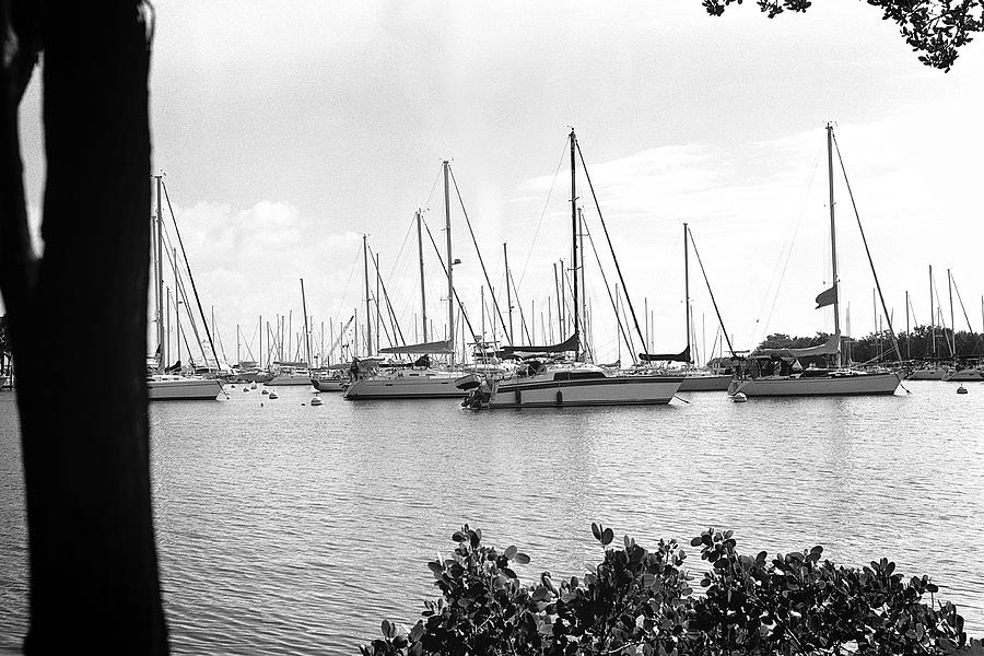 Coconut Grove Marina - 2 Photograph by Rudy Umans
