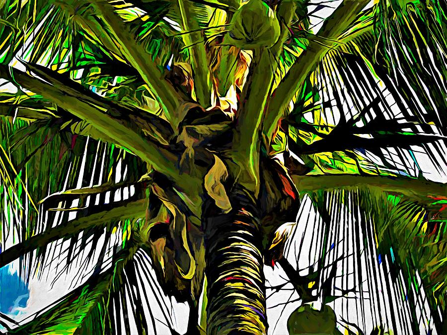 Coconut Palm Tree Patterns of Weipa Photograph by Joan Stratton