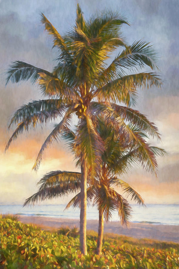 Coconut Palm Trees Watercolor Painting Photograph by Debra and Dave Vanderlaan