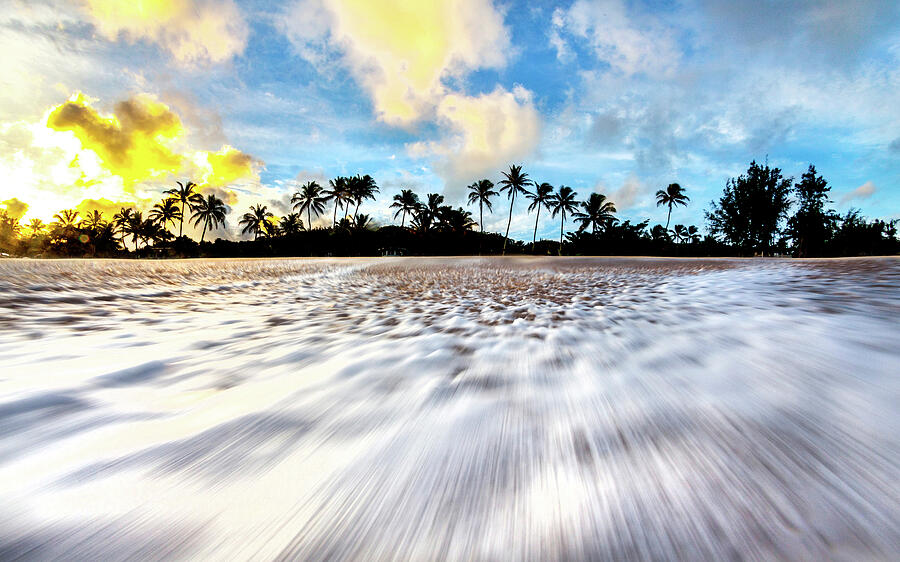 Coconut Rush Photograph by Sean Davey
