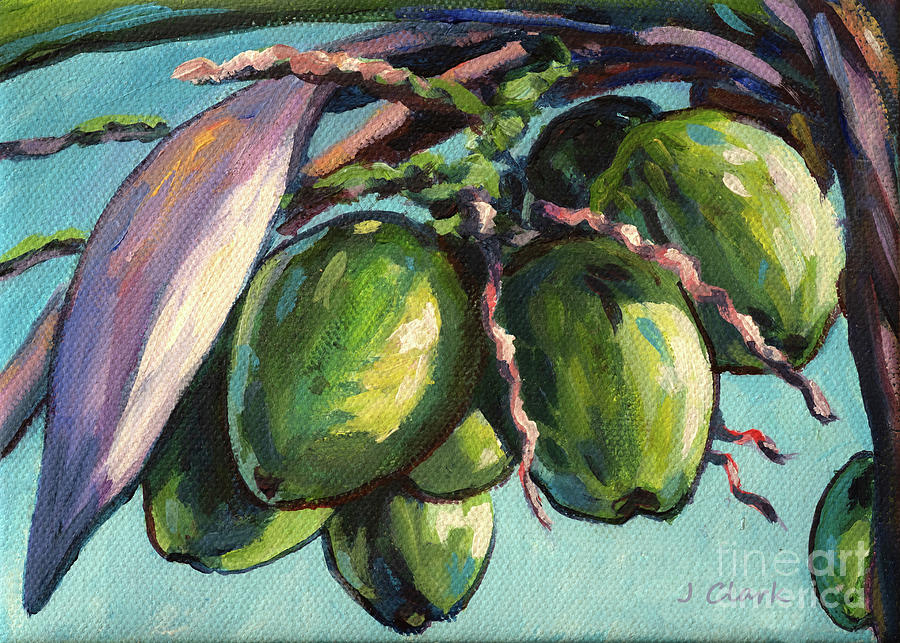 Coconuts Close-up Painting by John Clark