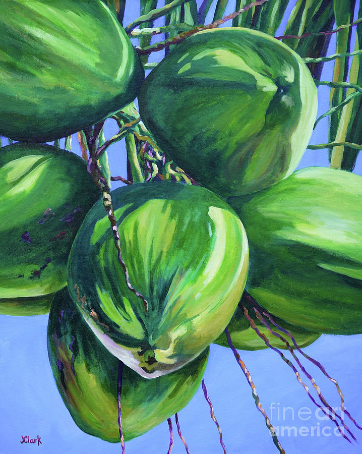 Cayman Painting - Coconuts in a Palm Tree by John Clark