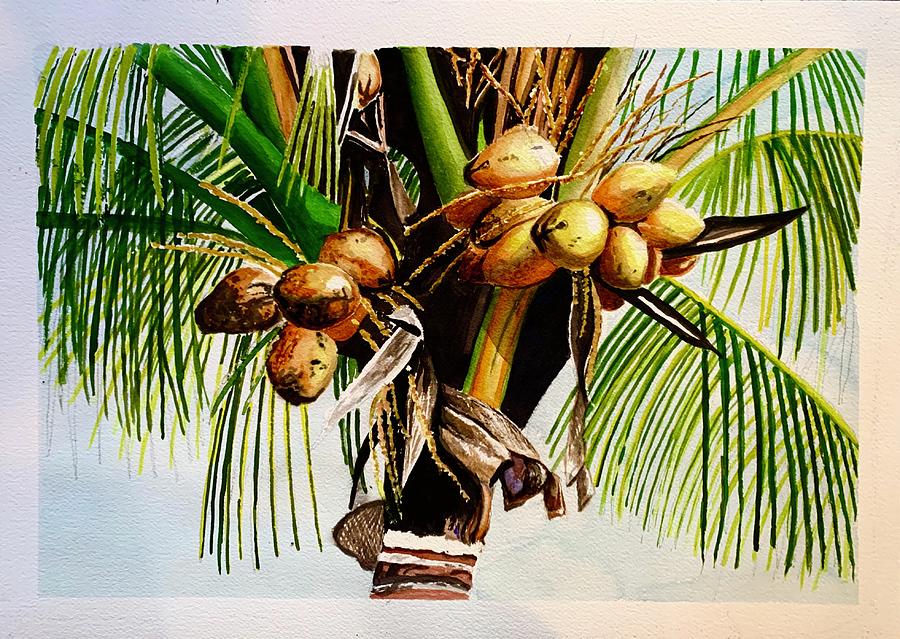 Coconuts on the tree Painting by Ramesh Mahalingam | Fine Art America