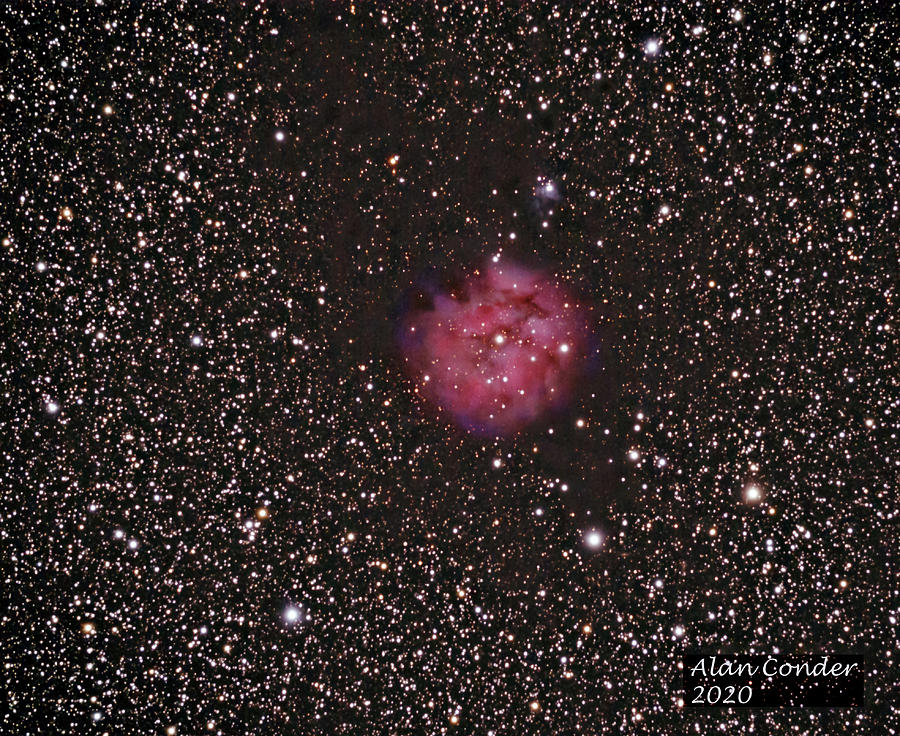 Cocoon Nebula Photograph by Alan Conder