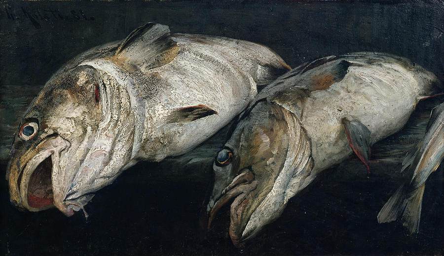 Cod, 1881 Painting by O Vaering by Fredrik Kolstoe