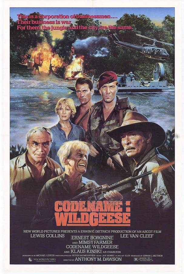 Codename WildGeese - 1984 - Vintage Movie Poster Photograph by Old ...