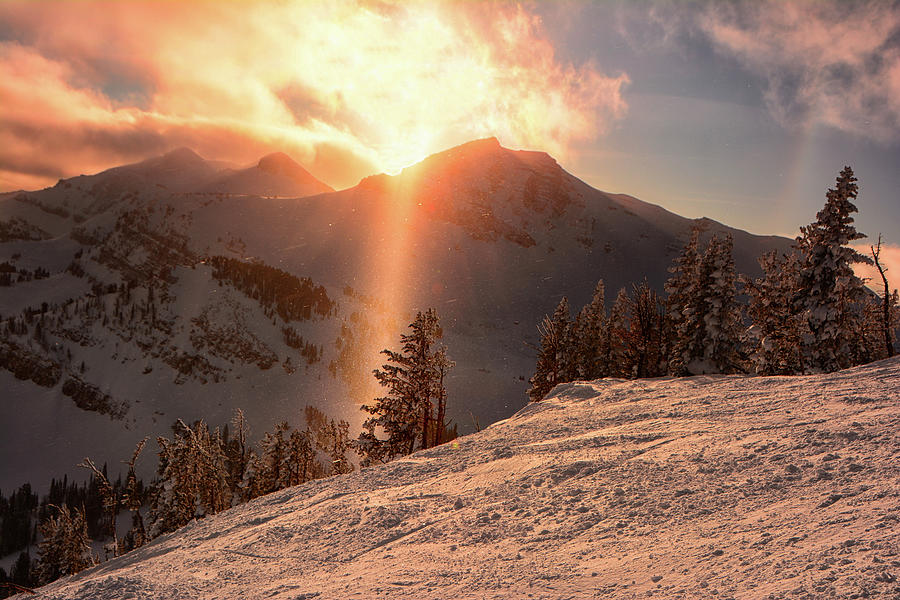 Cody Peak Snowbow and Snow Covered Trees Photograph by Raymond Salani III