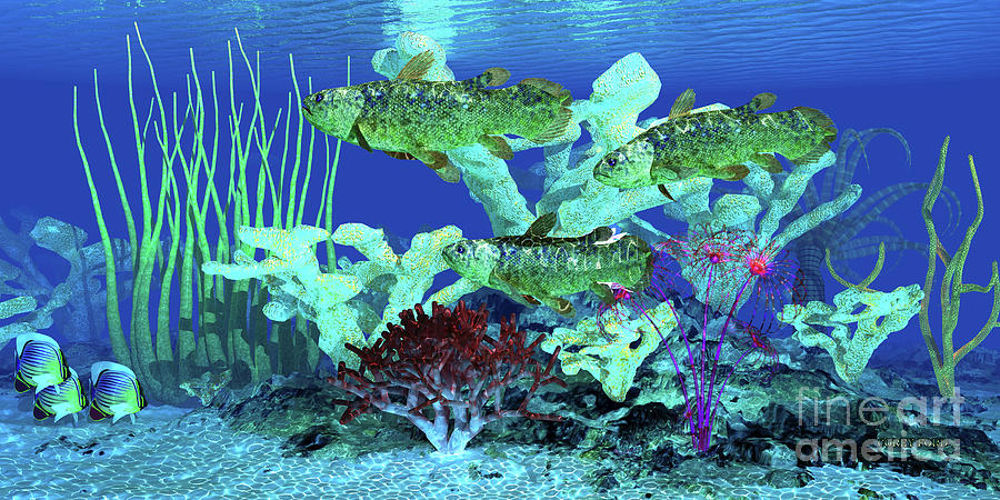 Coelacanth Fish Reef Digital Art by Corey Ford