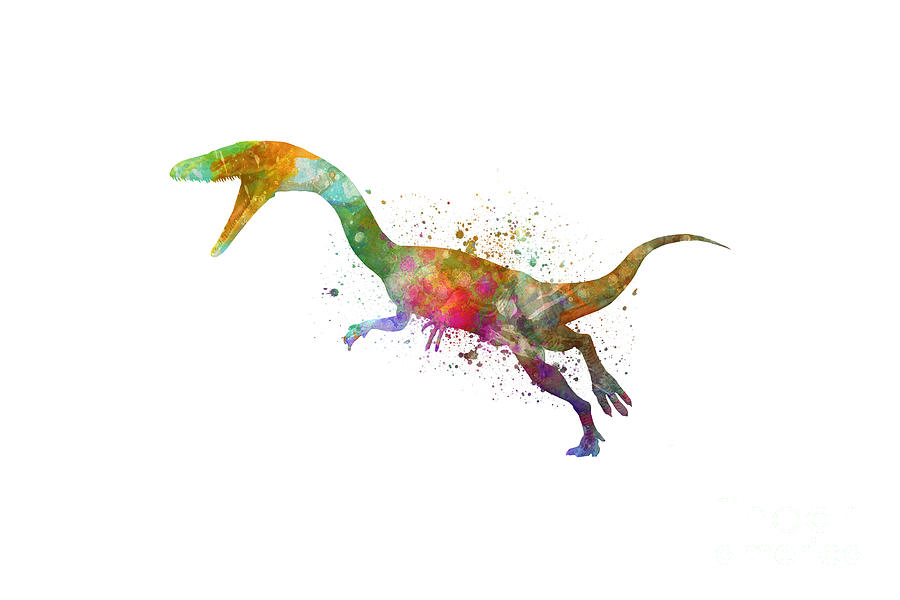 Coelophysis in watercolor Painting by Pablo Romero