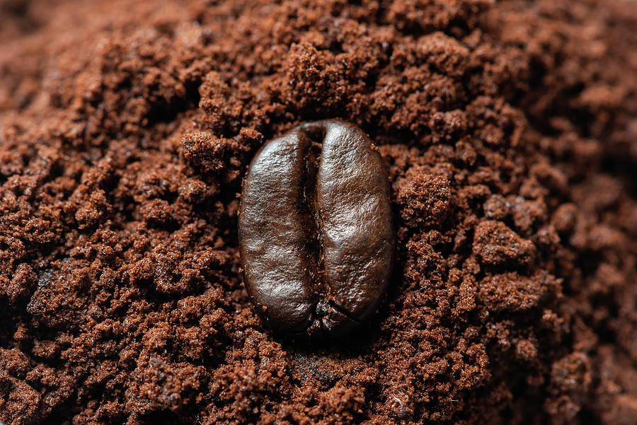 Coffee bean on ground coffee close up view Photograph by Philippe Lejeanvre
