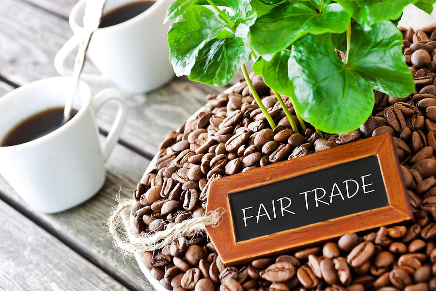 Coffee beans and coffee plant and Fair Trade label Photograph by Santje09