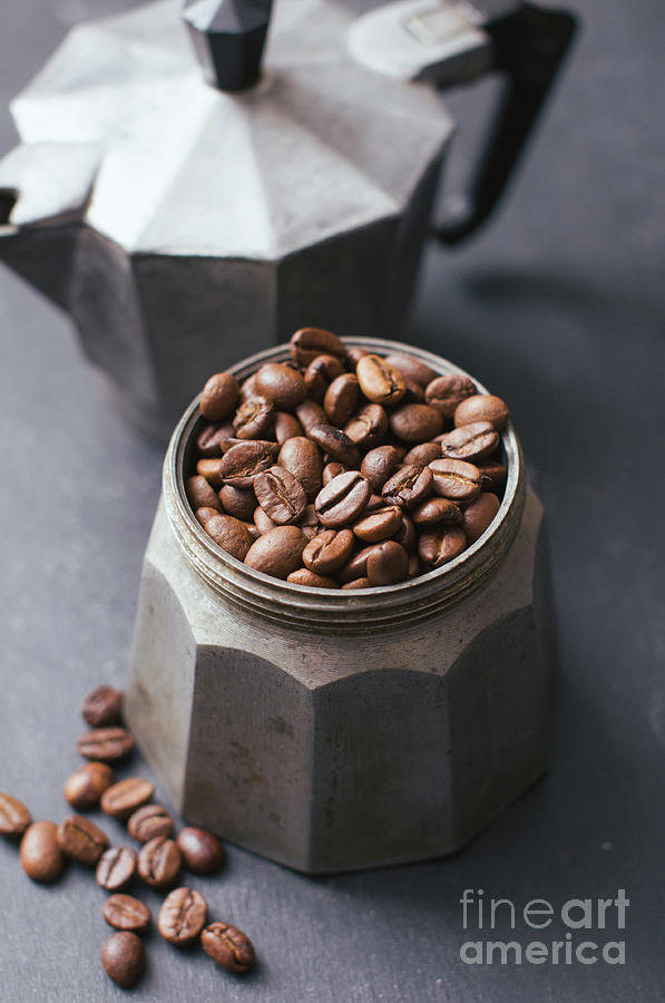 Coffee Photograph - Coffee beans in vintage coffee jug by Viktor Pravdica